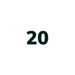 20