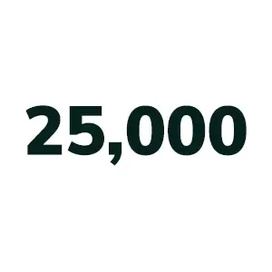 25000