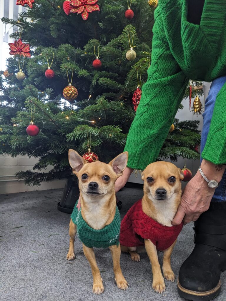 A Thriving Christmas: Building Something That Lasts